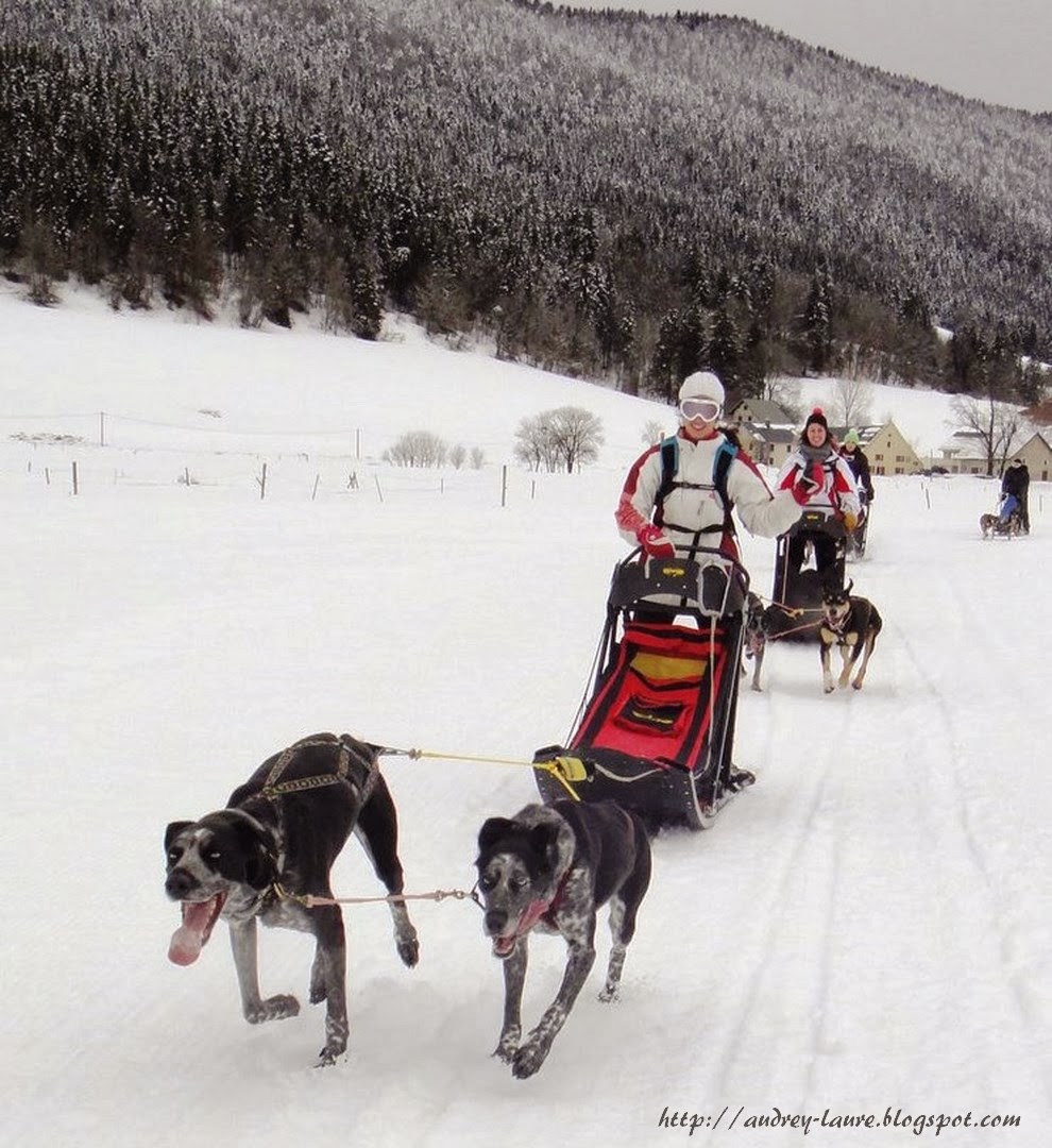 Chiens de traîneau à Autrans / Dog Sledding in Autrans